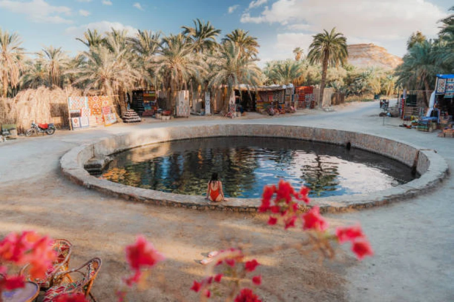 Egyptian Oasis