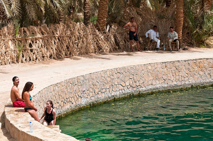 Egyptian Oasis