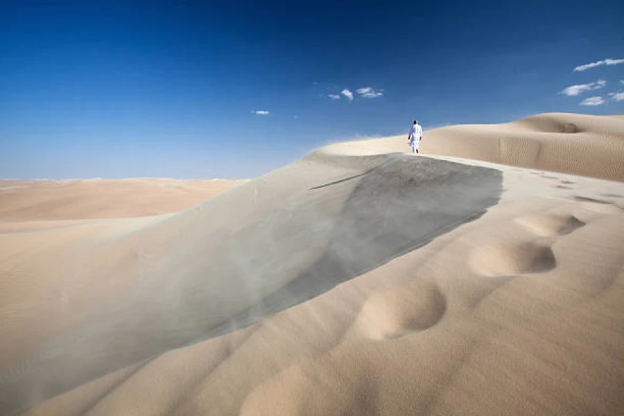 White Desert