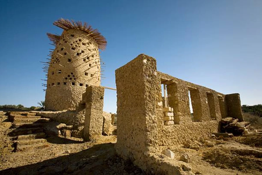 Egyptian Oasis
