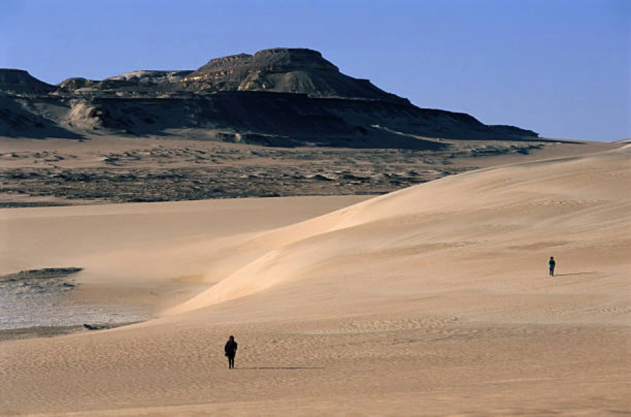 Black Desert