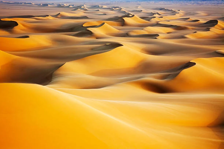 6 Days Cairo and the White Desert Adventure