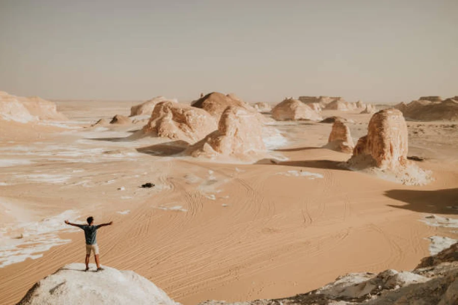 White Desert