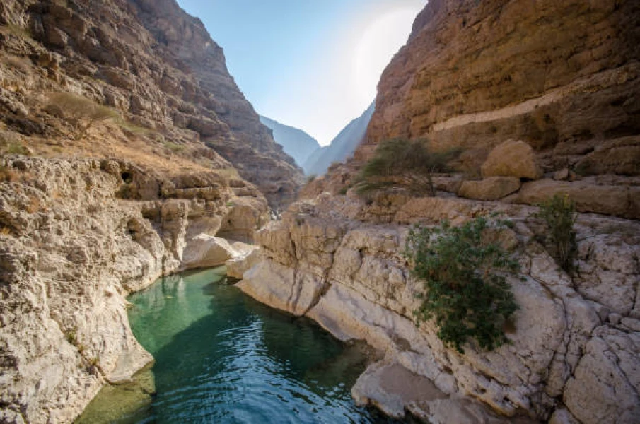 Wadi El Hitan