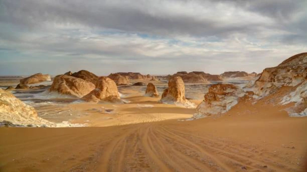 Bahariya Oasis