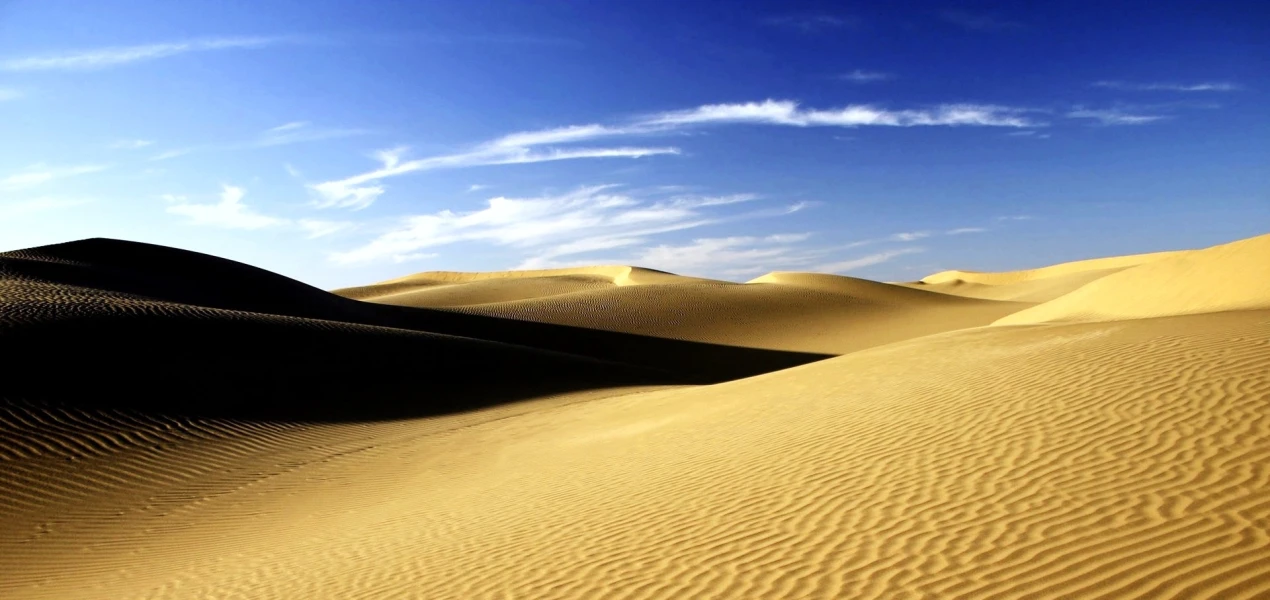 Create the Adventure: Activities You Can Do in the Egyptian Desert