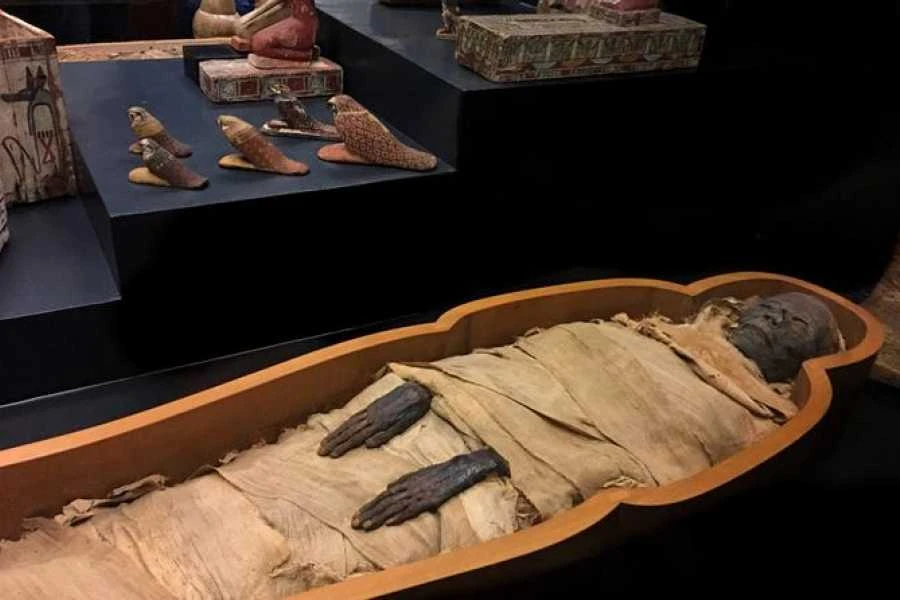 Mummification Museum
