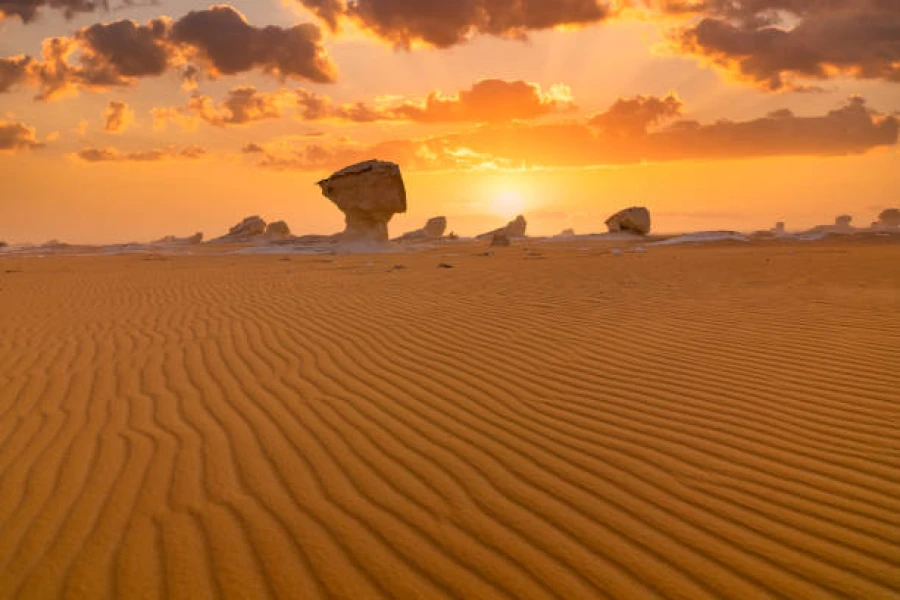 Timeless Tranquility: Sahara Desert