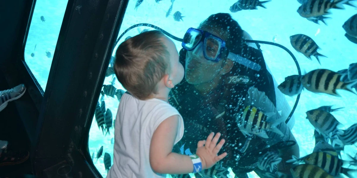 Best glass boat trip in hurghada from hurghada port