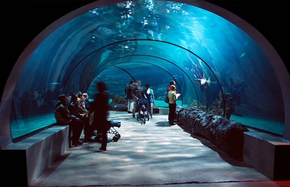 Visite du Grand Aquarium d'Hurghada