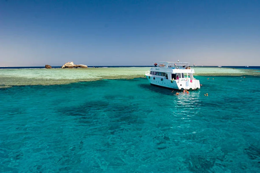 Tiran Island Snorkeling Trip from Sharm El Sheikh
