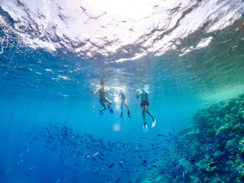 Enjoy our Scuba tours, Snorkeling, Boat Trips and Diving Courses