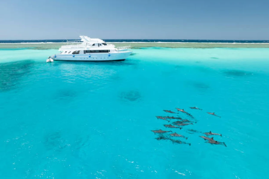 Experience delight with the beauty of diving life in the Hamata Islands