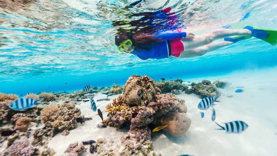 Experience delight with the beauty of diving life in the Hamata Islands