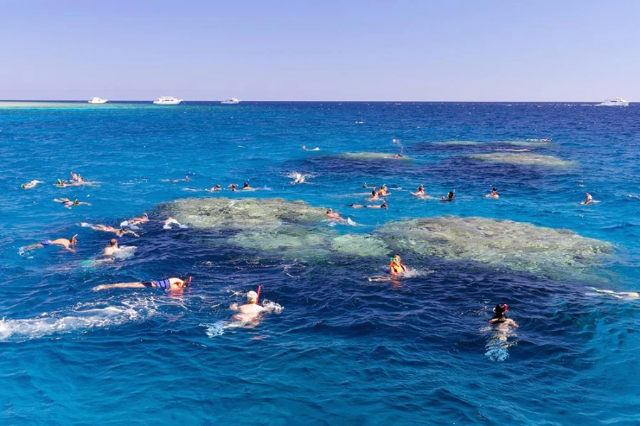 Experience delight with the beauty of diving life in the Hamata Islands