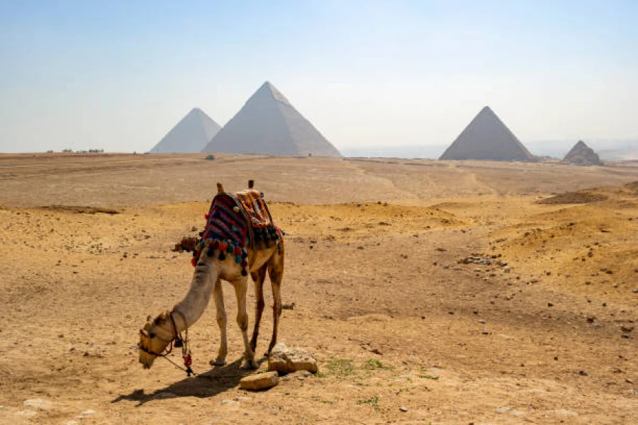 The Giza Pyramid Complex is perhaps the most famous and spectacular archaeological site on earth.