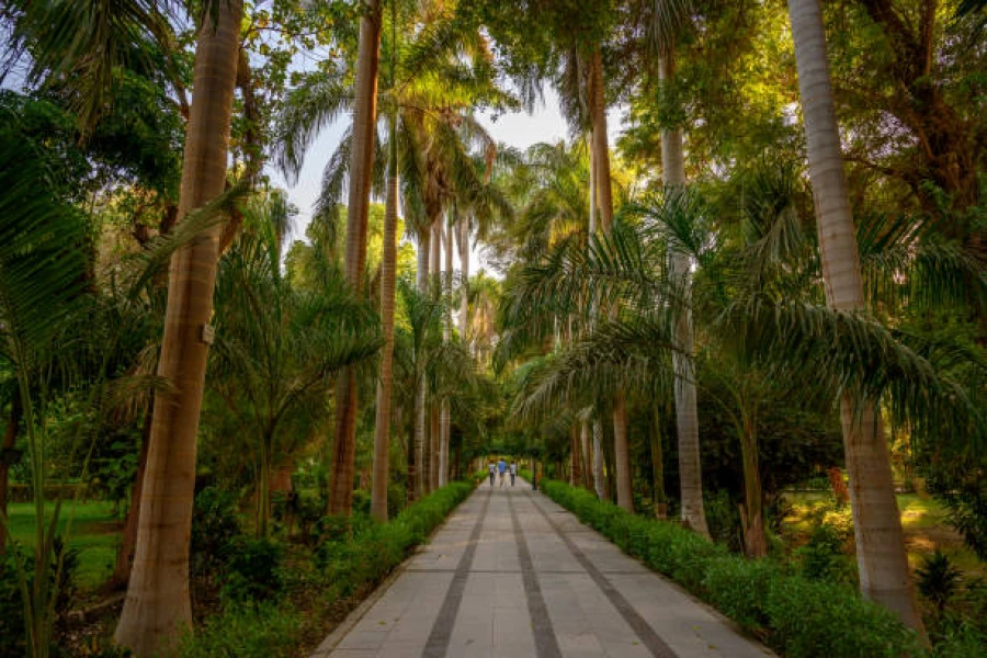 Adventure to the Nobles Tombs, St. Simeon Monastery, and Botanical Island