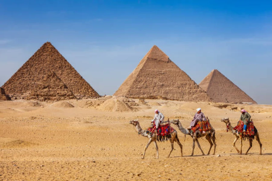 Best camel ride in giza pyramids