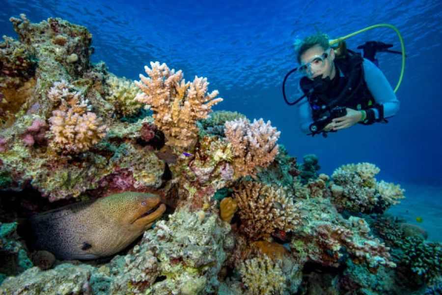 Red Sea tourist attractions