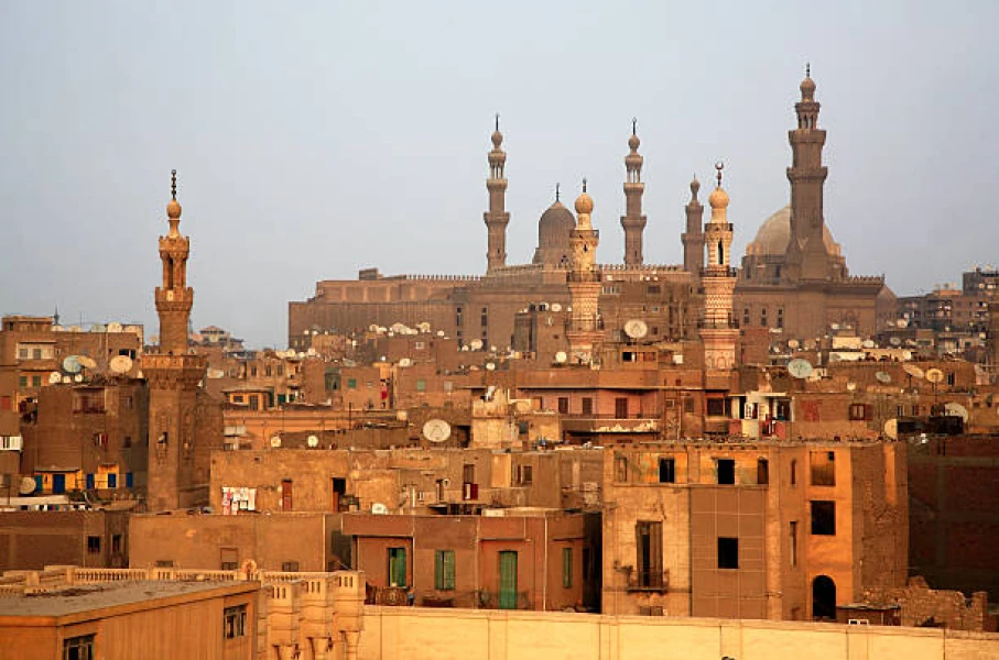 Rosetta Day Tour From Alexandria