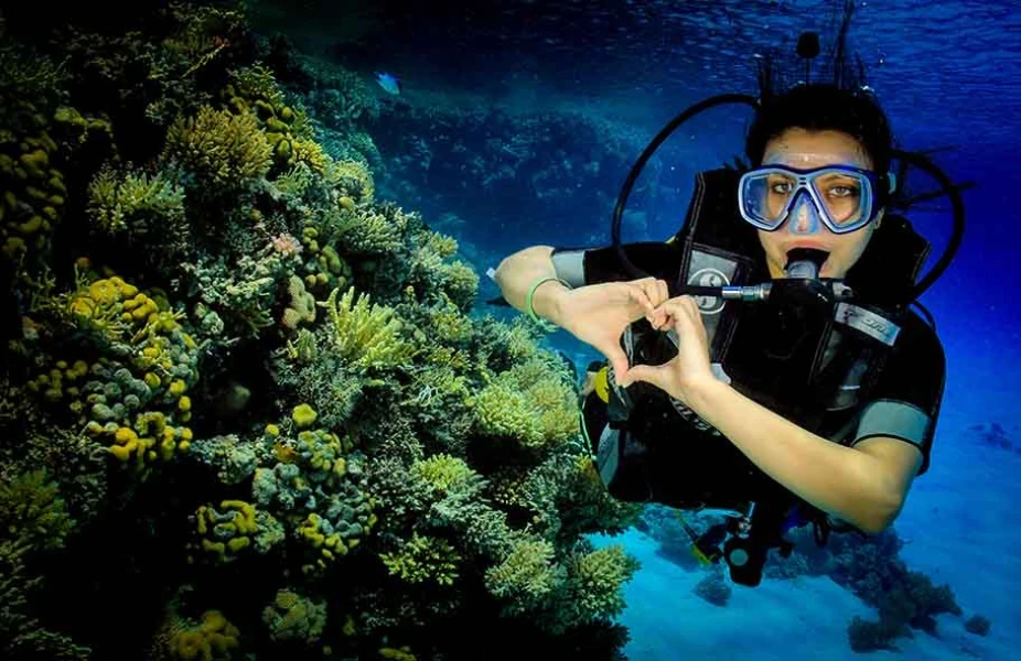 Image Nuweiba Beaches and Camps