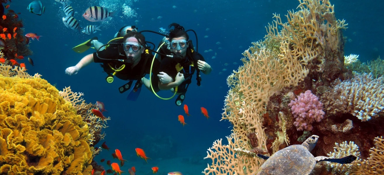 Day Tour to Qulaan Islands from Marsa Alam