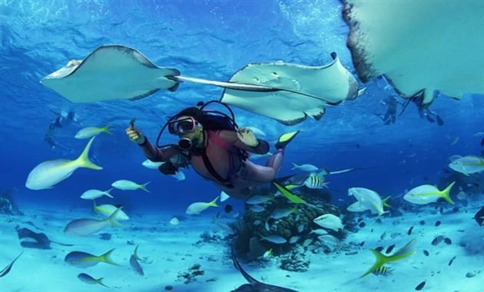 Tiran Island