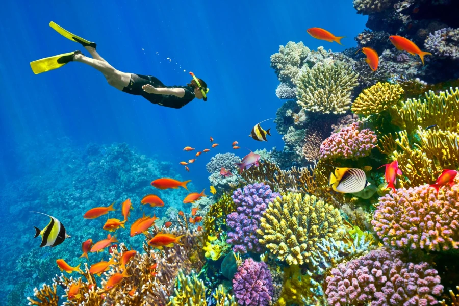 I tour di lusso in Egitto includono Sharm El Sheikh