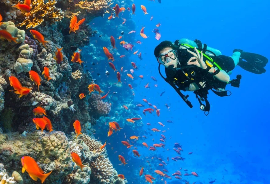 Snorkeling in hurghada