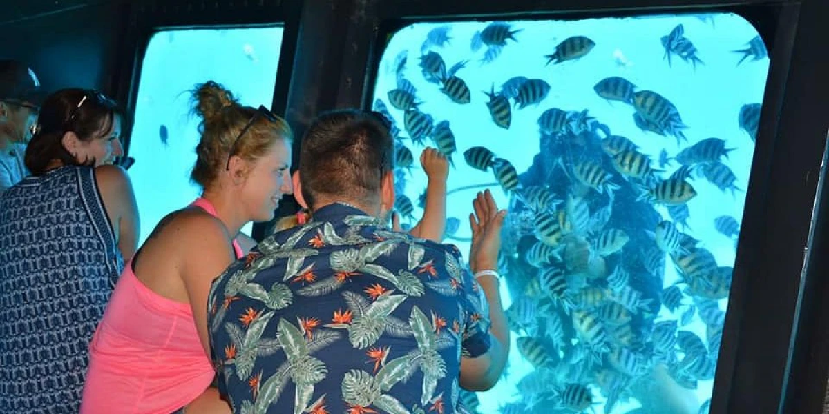 Glass Boat Trip in Hurghada