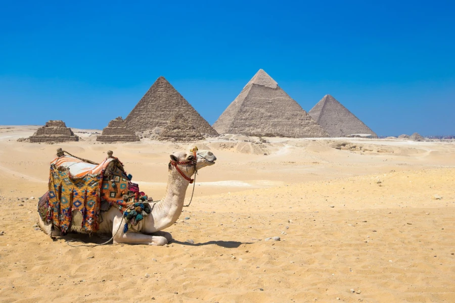 Trip from Alexandria Port to the Giza and Hawara Pyramids