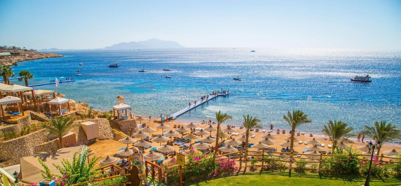 Snorkeling in Ras Mohamed from Sharm El Sheikh port