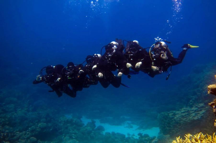 Diving in hurghada