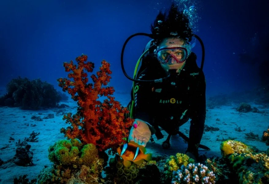 Diving in hurghada