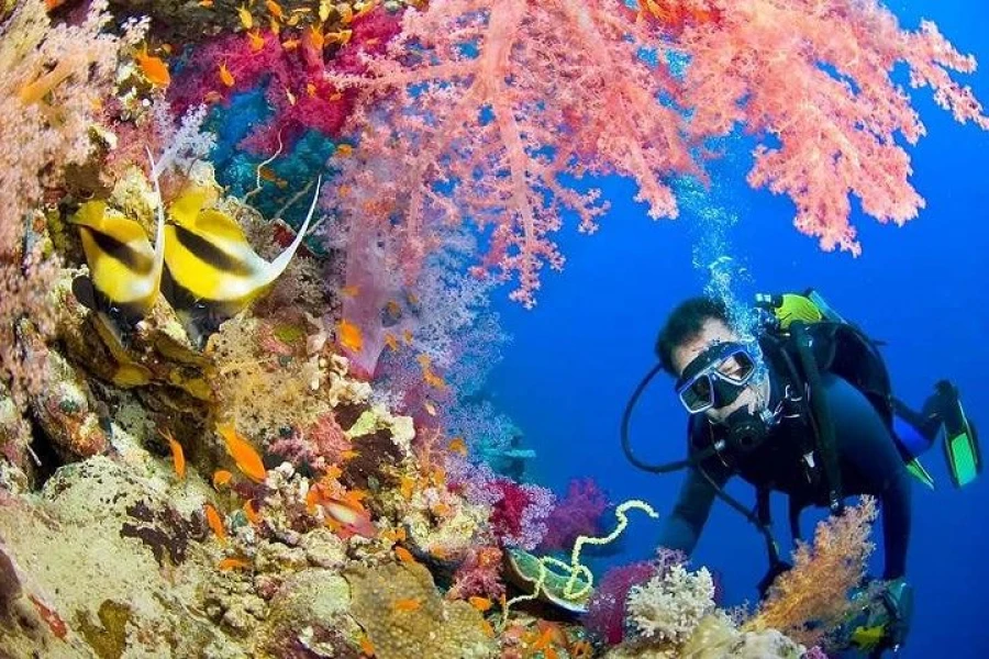 Snorkeling in hurghada
