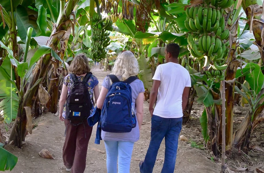 Banana Island est une étape paisible lors de toute excursion d'une journée à Louxor