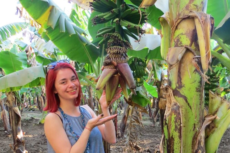 Les familles adorent visiter l'île Banana lors d'une excursion d'une journée à Louxor