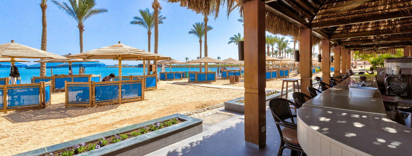Célébrez Noël sous le soleil d'Hurghada