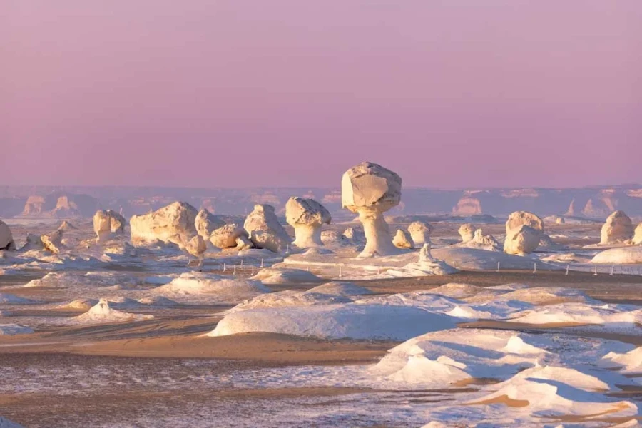 Explore the White Desert on your Christmas tour