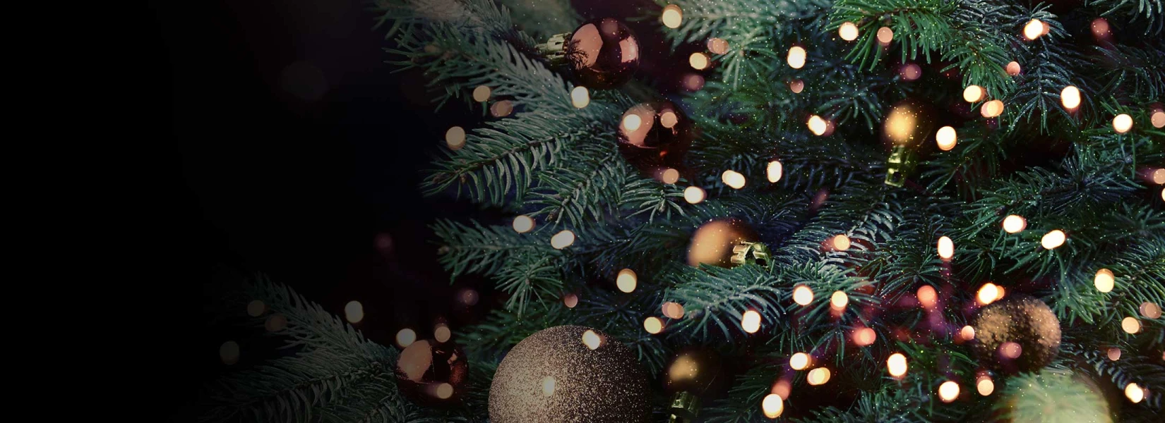 Noël en Égypte offre des expériences inoubliables