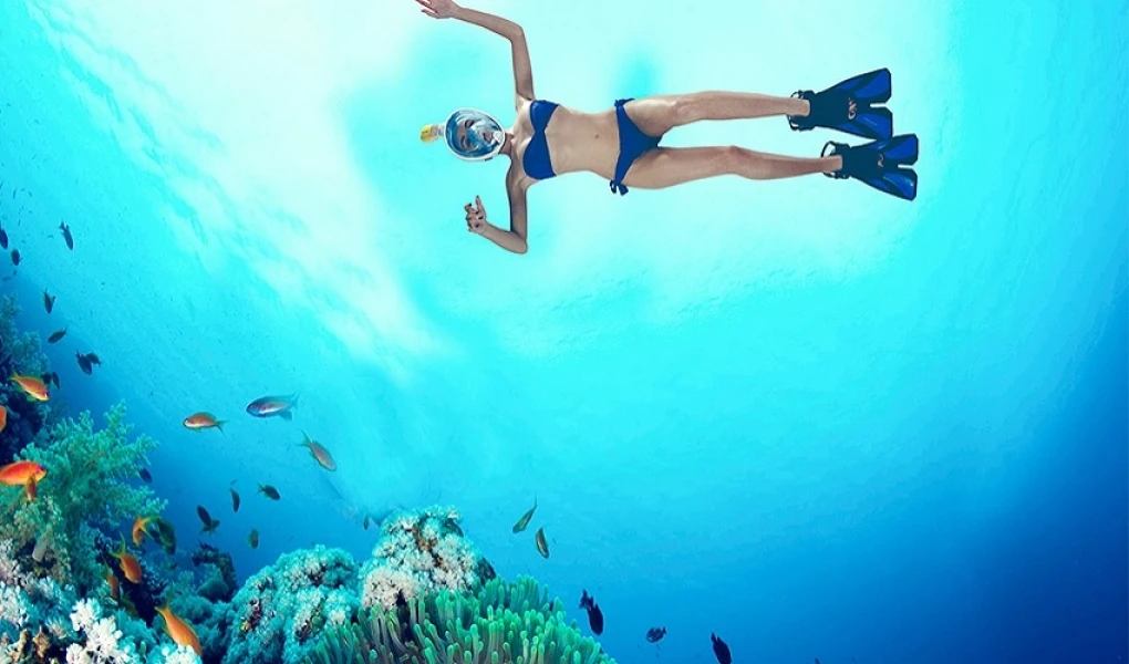 Snorkeling e Isola Giftun