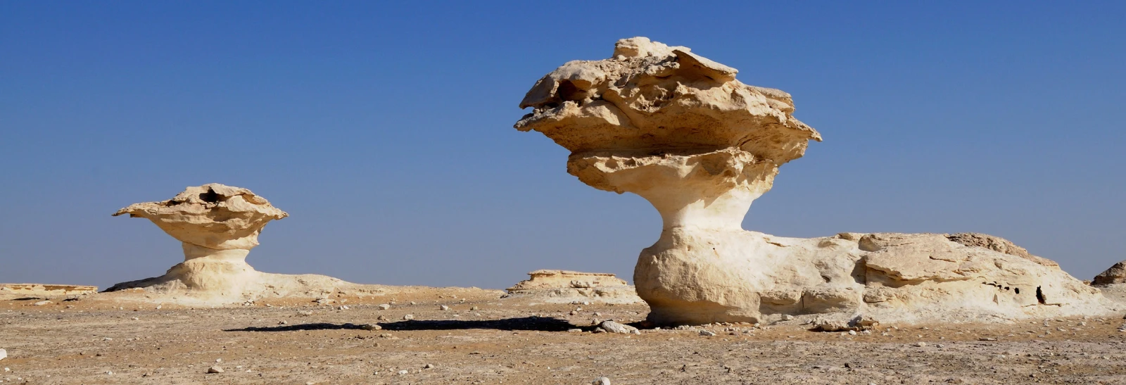 Farafra Oasis: Desert Beauty and Timeless Charm