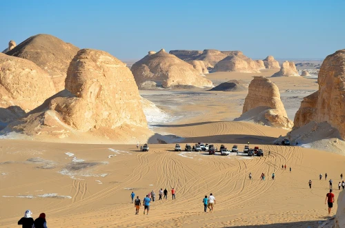 Oasi di Farafra e le migliori cose da fare a Siwa