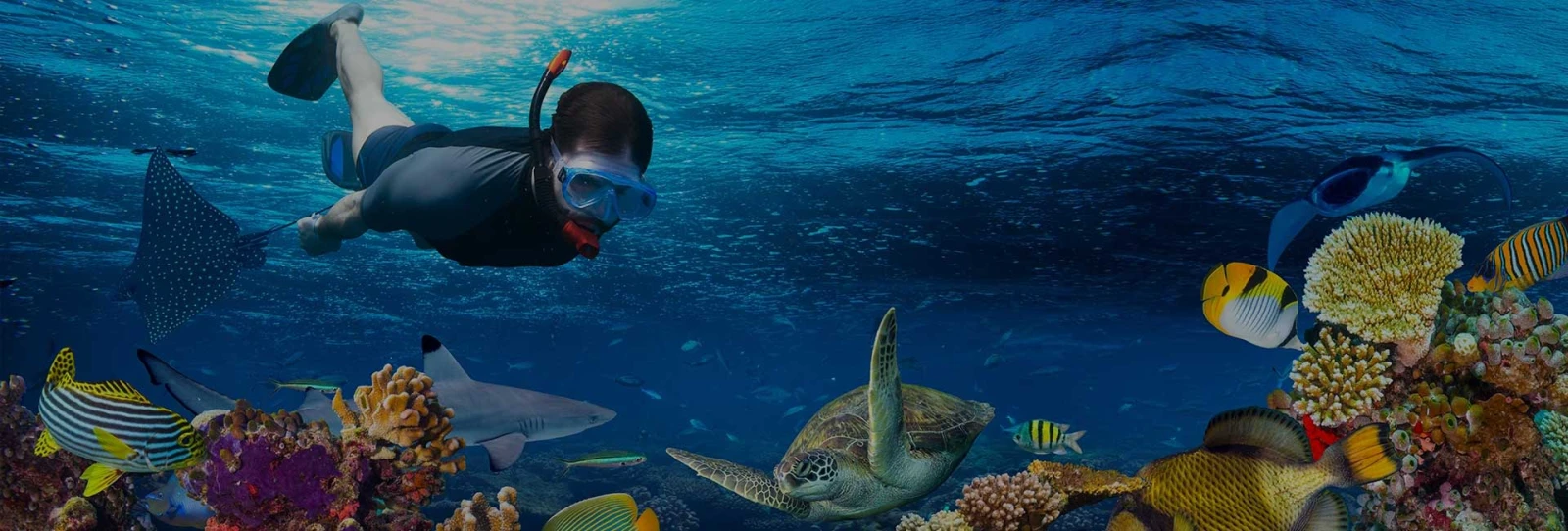 Dahab, The Heart of Egypt’s Diving Treasures