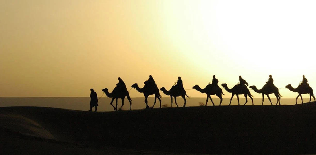 Best Dahab Desert Safari: Tips & Activities