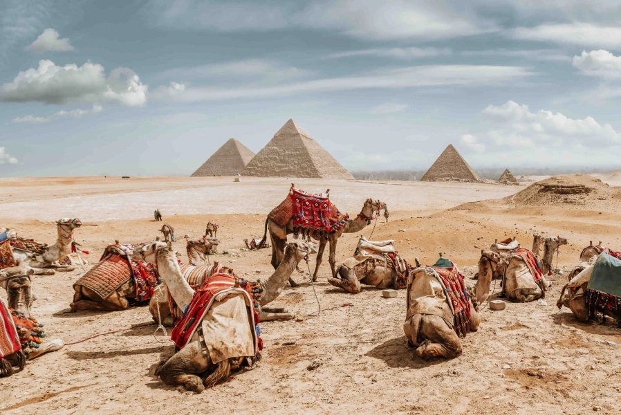 Cairo Airport Layover Tours