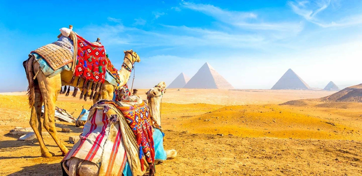 GEM and Pyramids Tour from Cairo Airport