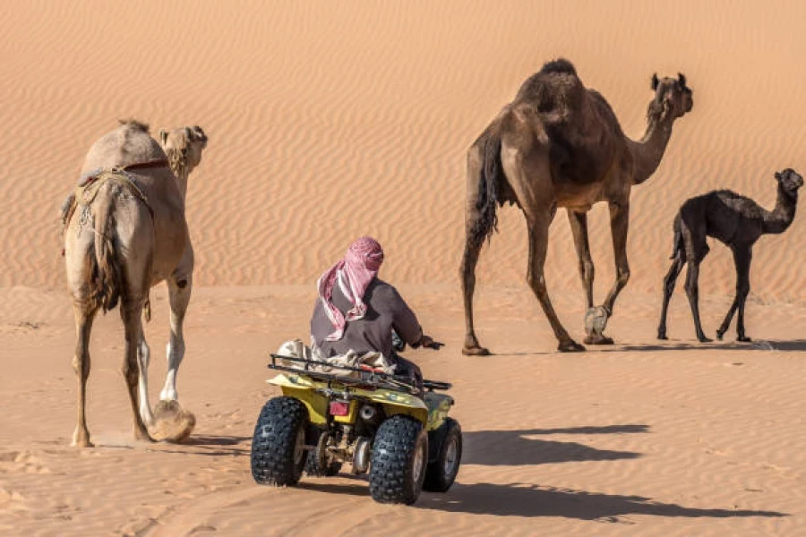 Giza Pyramids Layover Adventure Camel and Quad Ride