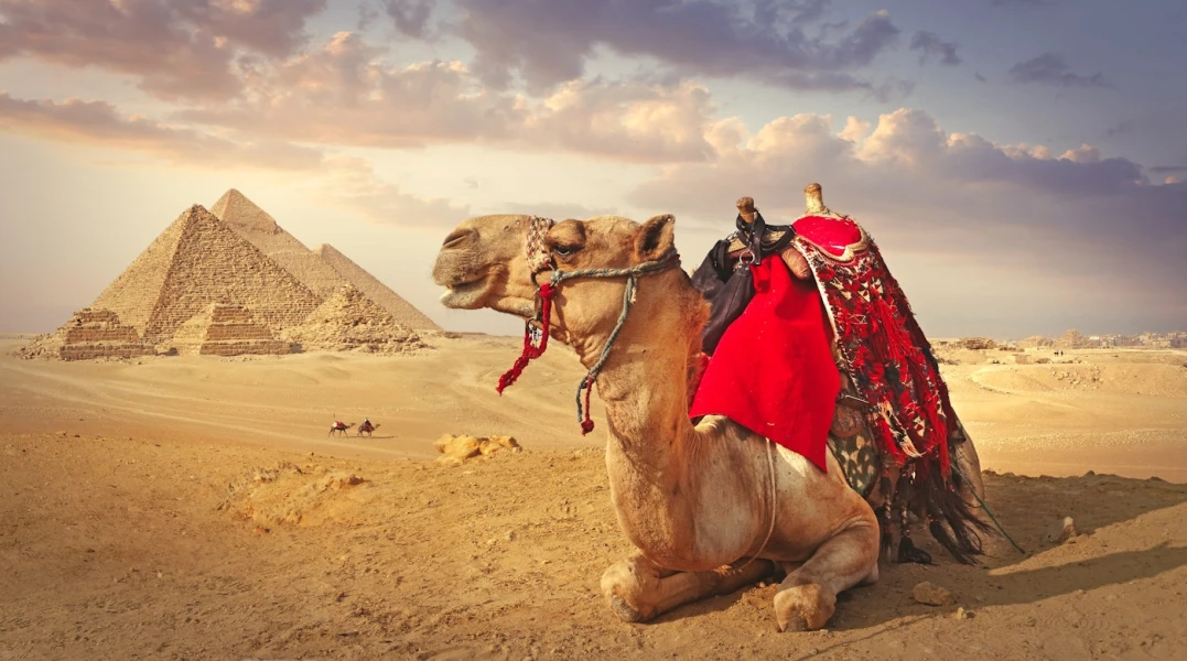 Discover Egypt's famous Giza Pyramids