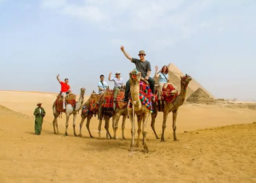 Enjoy a Camel and Horse Riding